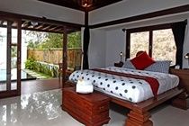 Villa Nirvana Bali Убуд Екстер'єр фото